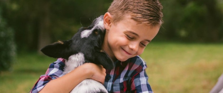 Phobie des chiens d'un enfant. Traitement par TCC